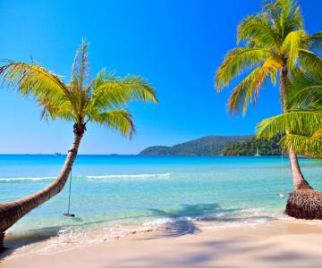 热带，天堂，海滩，海岸，海洋，棕榈，夏天，夏天，天堂，海滩，度假村，热带地区，美丽，棕榈树
