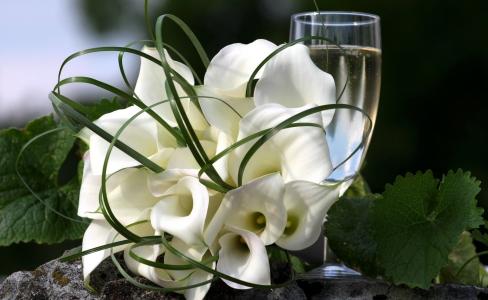 玻璃，鲜花，绿色，叶子，白色，颜色，马蹄莲，花束