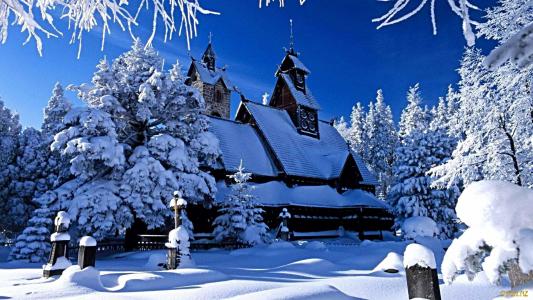 冬天，房子，树木，雪