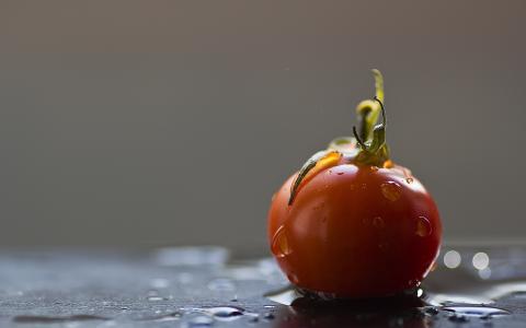 滴，番茄，食品
