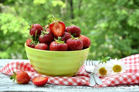 皮亚拉，浆果，草莓，设备，夏天