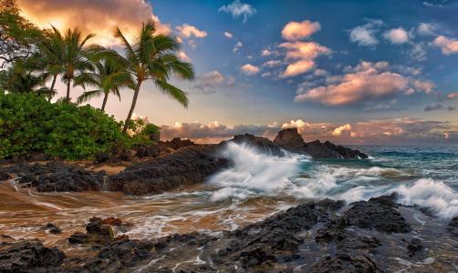 毛伊岛，夏威夷，毛伊岛，夏威夷，太平洋，岩石，冲浪，岩石，棕榈树，云，热带