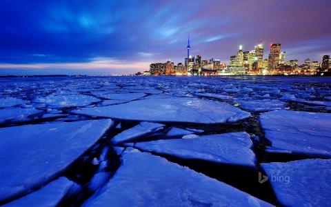 城市，加拿大，冰，冬天，照片，晚上，冰，多伦多，安大略省