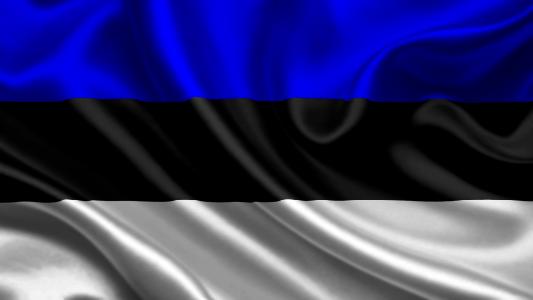 爱沙尼亚，国旗，3d，爱沙尼亚，国旗
