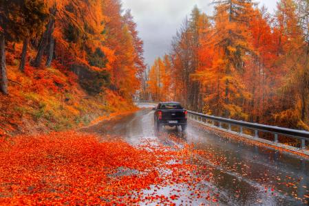 自然，汽车，路，秋，树，叶子，埃德Gordeev