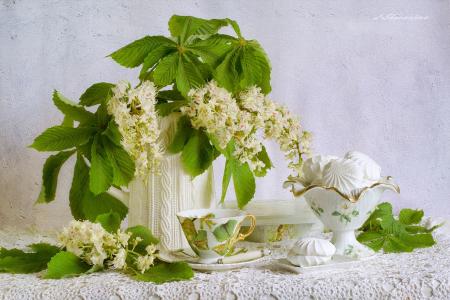 静物，板栗色，棉花糖，茶几，白光，由Elizaveta Shavardina