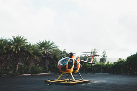 直升机，棕榈树