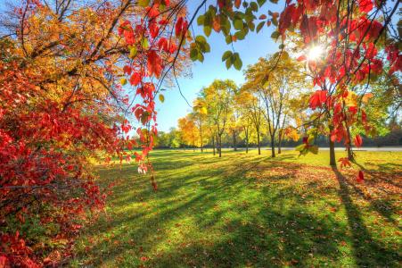 性质，秋季，公园，胡同，美丽
