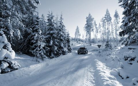 冬天，大自然，美丽，汽车