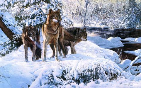 森林，冬天，雪，艺术，理查德·卢斯，狼，河