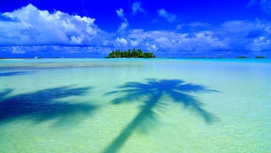 夏天，自然，热带，阴影，棕榈树，美丽，岛屿