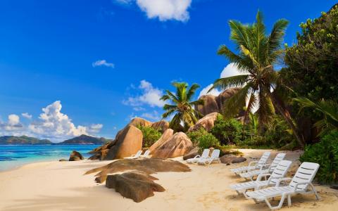 塞舌尔，沙滩，椅子，岩石，海，棕榈