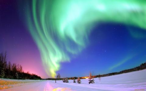 北极光，天空，冬天，冷杉，雪，拉普兰，芬兰