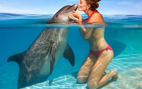 女孩，海豚，池，照片，积极，创意，吻
