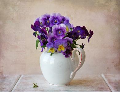 水罐，鲜花，紫罗兰，紫罗兰，中提琴