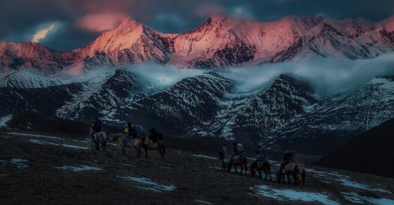 粉红山，马，远征，中国，Alkaid