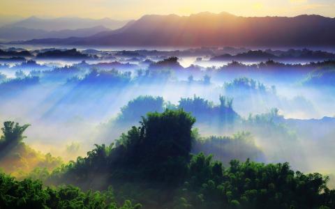 自然，早晨，丛林，山，美丽，雾