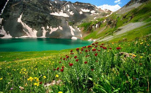 自然，湖泊，山脉，鲜花