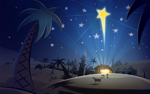 晚上，圣诞夜，明星，伯利恒，棕榈树