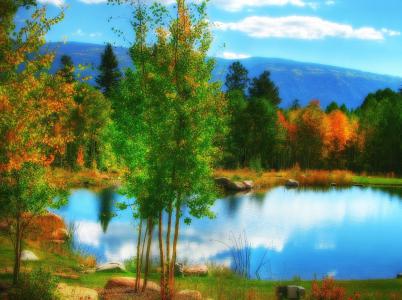 科罗拉多州，池塘，池塘，秋季，树木，景观，科罗拉多州