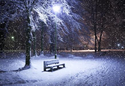 冬天，公园，雪，美丽，晚上