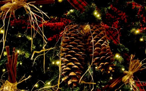 新的一年，枞树，圣诞节，视锥细胞