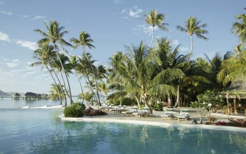 岛，棕榈树，日光浴床，水