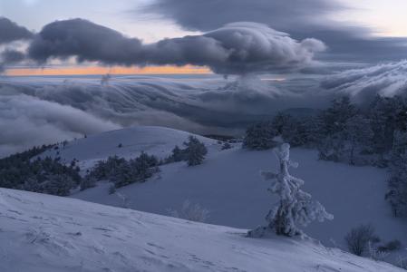 弗拉基米尔Ryabkov，自然，风景，克里米亚，丘陵，冬天，雪，Demerdzhi，树，冷杉，云，早上