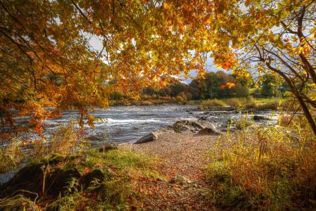 秋天，河，分支，性质