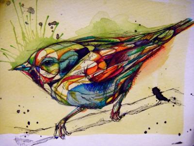 图形，绘画，墨水，油墨，涂料，鸟