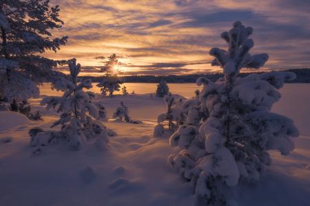 挪威，冬天，雪，随风飘飞的雪，日落