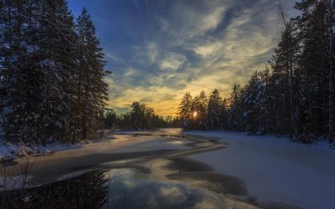 瑞典，冬天，晚上，自然