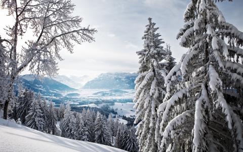 冬天，雪，自然，景观，山