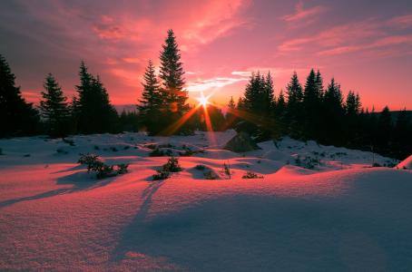 日出，Vitosha山，保加利亚，照片，尼古拉·阿列克谢耶夫