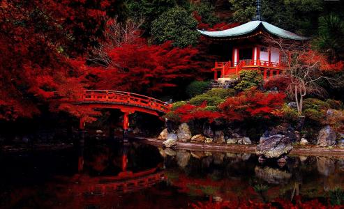 大自然，桥，湖，春天，日本，美丽