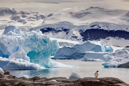 南极洲，冰，雪，水，企鹅