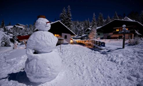 冬天，山，森林，自然，镇，度假村，雪人，酒精，美丽，夜