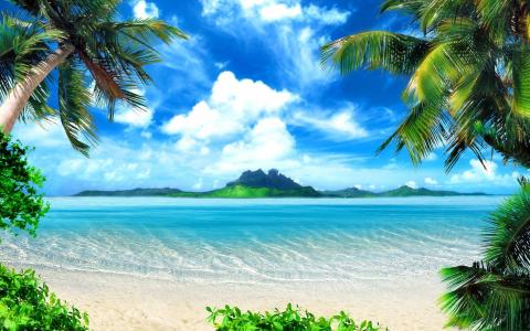 海，岛，热带，棕榈树，岸边，沙子
