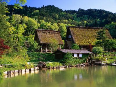 日本，房屋，房子，凉亭，农场，森林，日本，树木，水