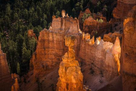 布莱斯峡谷国家公园，犹他州，美国，岩石，山，树，日落