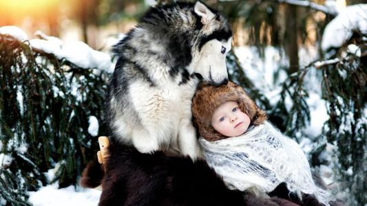 雪，哈士奇，孩子，冬天，友谊，狗