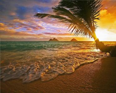 度假，大自然，日落，夏威夷日出