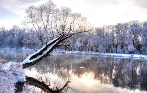 冬天，大自然，河，美丽，早上