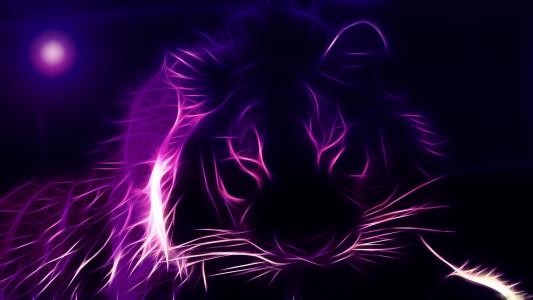 老虎，photoshop，黑暗的背景，幻想，紫罗兰色，3D