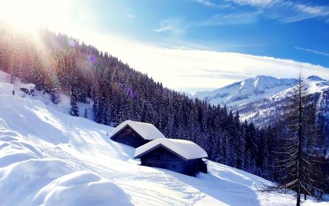 山，阿尔卑斯山，冬天，性质，森林，雪，美丽