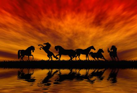 马，日落，飞跃，剪影，动物