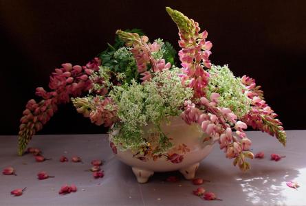 花瓶，鲜花，羽扇豆