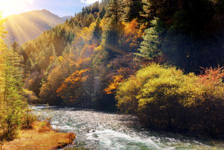 秋天，自然，河，山