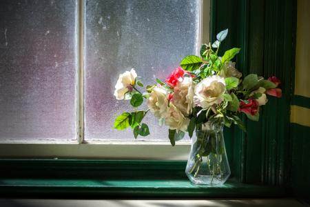 窗口，窗台，花瓶，鲜花，玫瑰