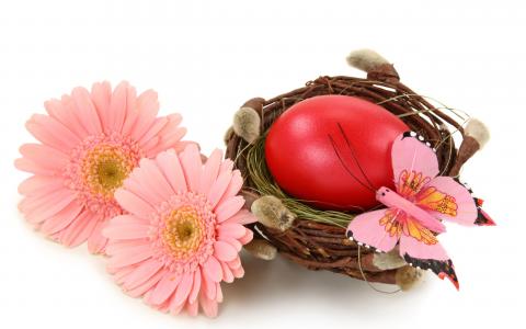 复活节，鸡蛋，鲜花，蝴蝶